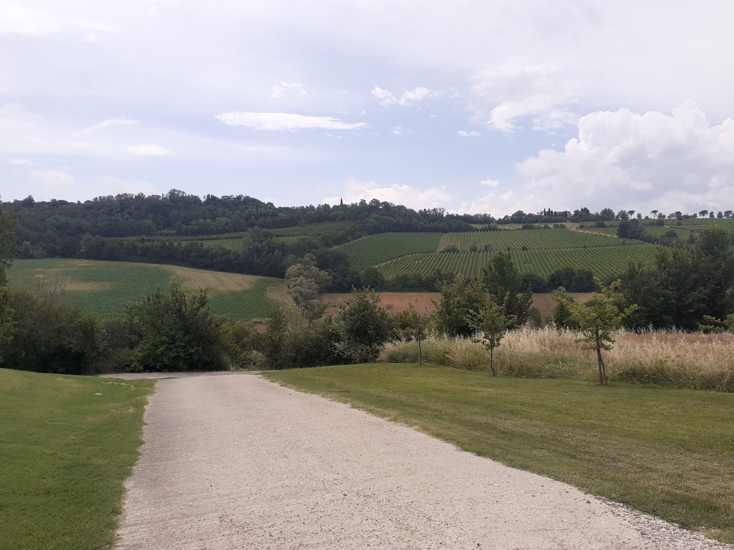 Pergola di Faenza Villetta a schiera di testa