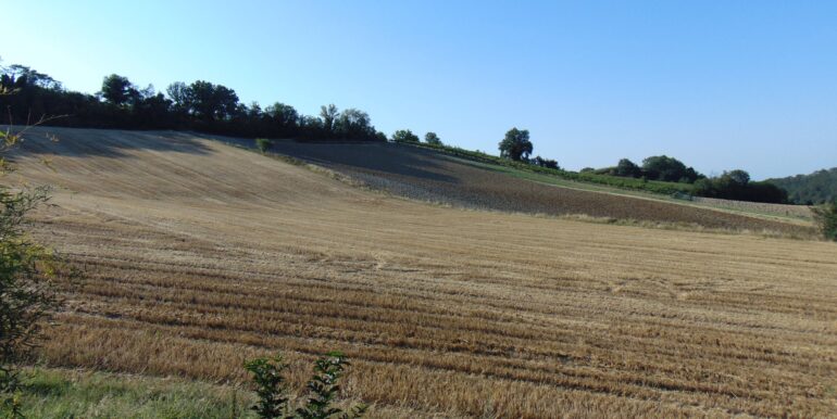 DSC03345